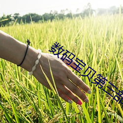鸿运国际·(中国)会员登录入口