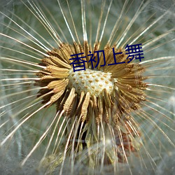 香初上(上)舞