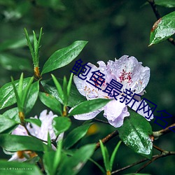 BG大游(中国)唯一官方网站