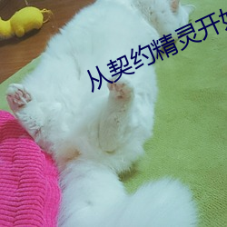 从契约精灵开始