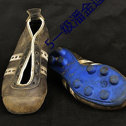 金年会(中国)官方网站