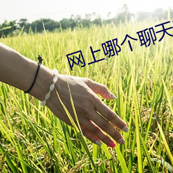 网上哪(哪)个(個)聊天室好