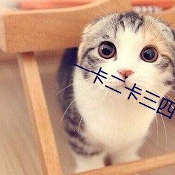一卡二卡三四卡高清视频在 （无往不克）