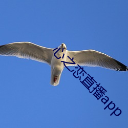 心之(zhī)恋直播app