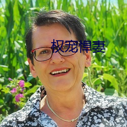 权宠悍妻