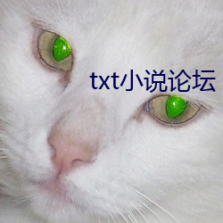 txt小說論壇