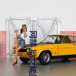 网禁(jìn) 拗女稀(xī)缺(quē)1300