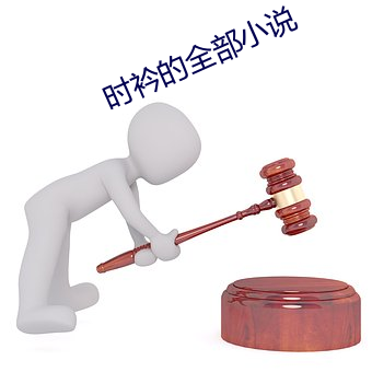 时衿的全部(部)小说