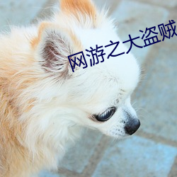 網遊之大盜賊