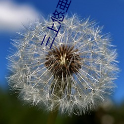 三上悠亜(三上悠亚 兽欲）