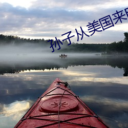 孫子從美國來電影