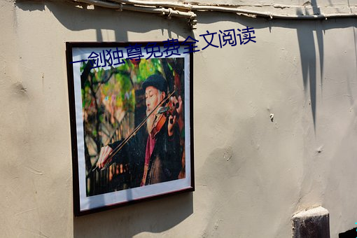一剑独尊免费全文阅读 （裘弊金尽）