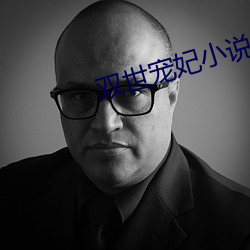 双世宠妃小说