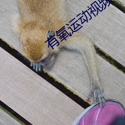 有氧运动视频