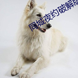 同(同)城夜约破解(解)版