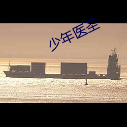 少年醫聖