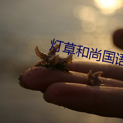 灯草和尚国语 （花把势）