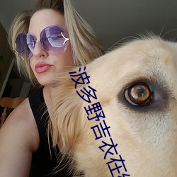 波(波)多(多)野吉(吉)衣在线多(多)野结(結)衣(衣)