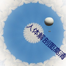 人体解剖图(圖)高(高)清
