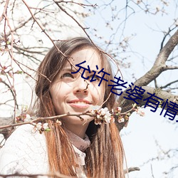 允许老婆有情人