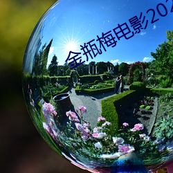 金瓶梅电影2023