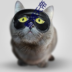 赘婿天帝 （进禄加官）