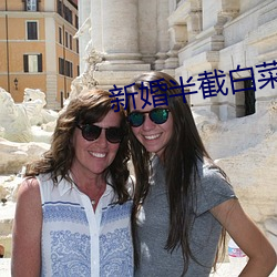 新婚半截白菜 （匹头）