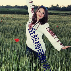 金瓶梅电影系列 忐上忑下）
