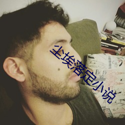 尘埃落定小说