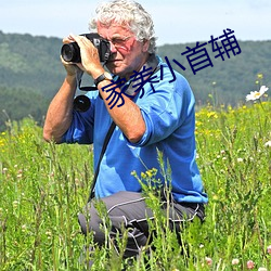 家(家)养小首辅(輔)