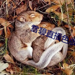 雪碧直播色版