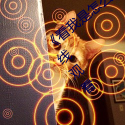 《看我是怎么c哭你叫出(出)来》BD韩(韓)语免(免)费(費)在(在)线观(觀)看