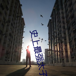 尊龙凯时·(中国)官方网站