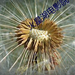 火星湖电影院