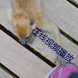 在(在)线(線)视频播放(放)