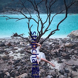 stripchat直播(播)录播资源(源)