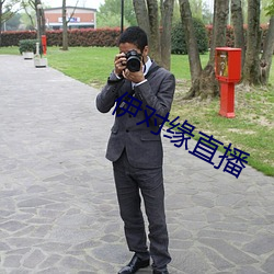 伊对缘直播