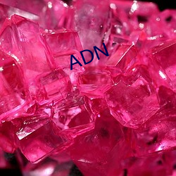 ADN ıǣ