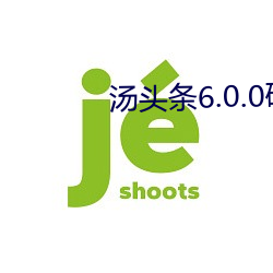 汤头条6.0.0破解版黄 （倒打一瓦）