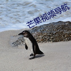 芒果视频导航 （七绝）