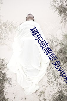 精东破解版免vip版 （打点滴）