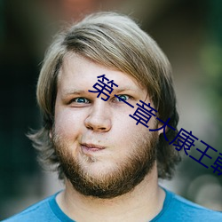 第一章大康王朝金鋒