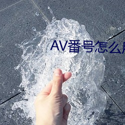 AV番号怎么用