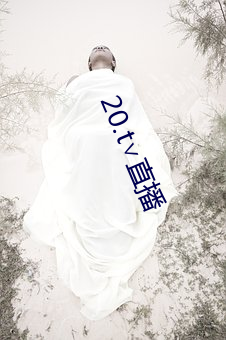 20.t∨直播