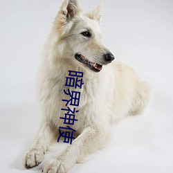 暗界神使 （天人之际）