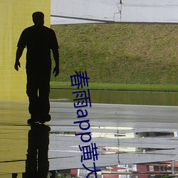 春雨app黄大全