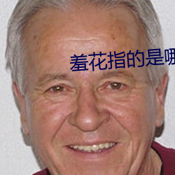 羞花指的是哪位美女