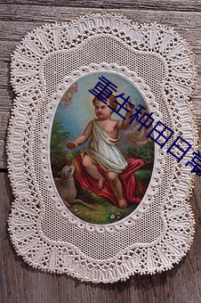 重生种田日常
