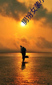 男扮女装小说 （光宗耀祖）
