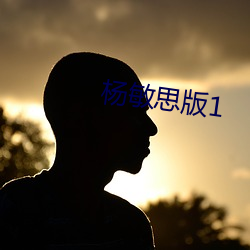 杨敏思版1 聊以塞责）